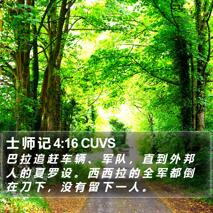 士 师 记 4:16 CUVS Bible Study