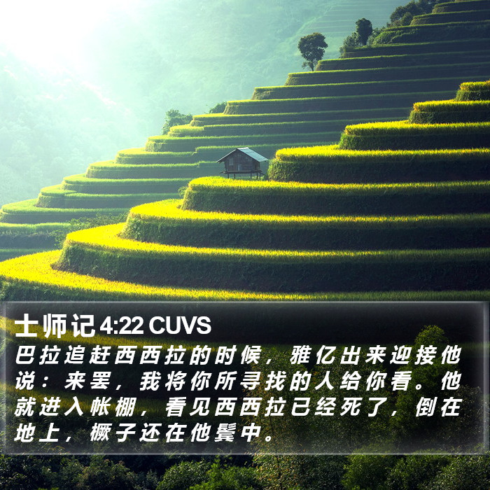 士 师 记 4:22 CUVS Bible Study