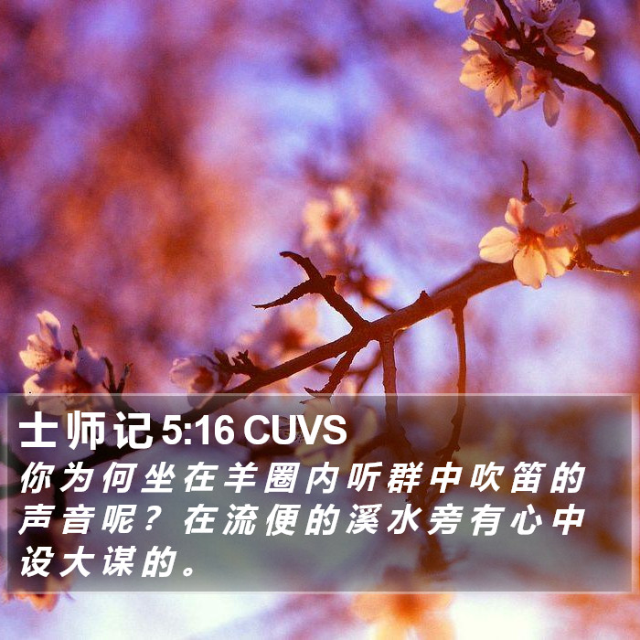 士 师 记 5:16 CUVS Bible Study