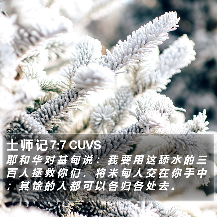 士 师 记 7:7 CUVS Bible Study