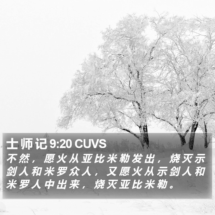 士 师 记 9:20 CUVS Bible Study