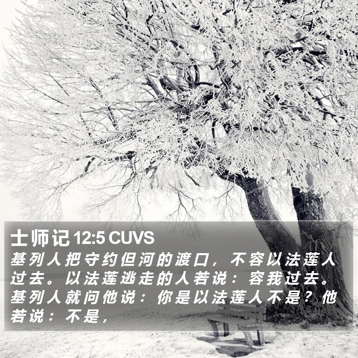 士 师 记 12:5 CUVS Bible Study