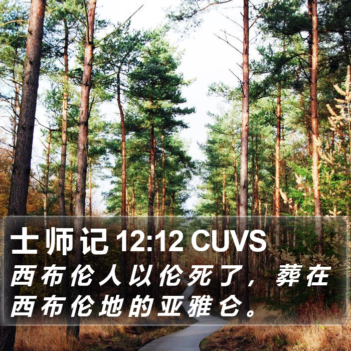 士 师 记 12:12 CUVS Bible Study