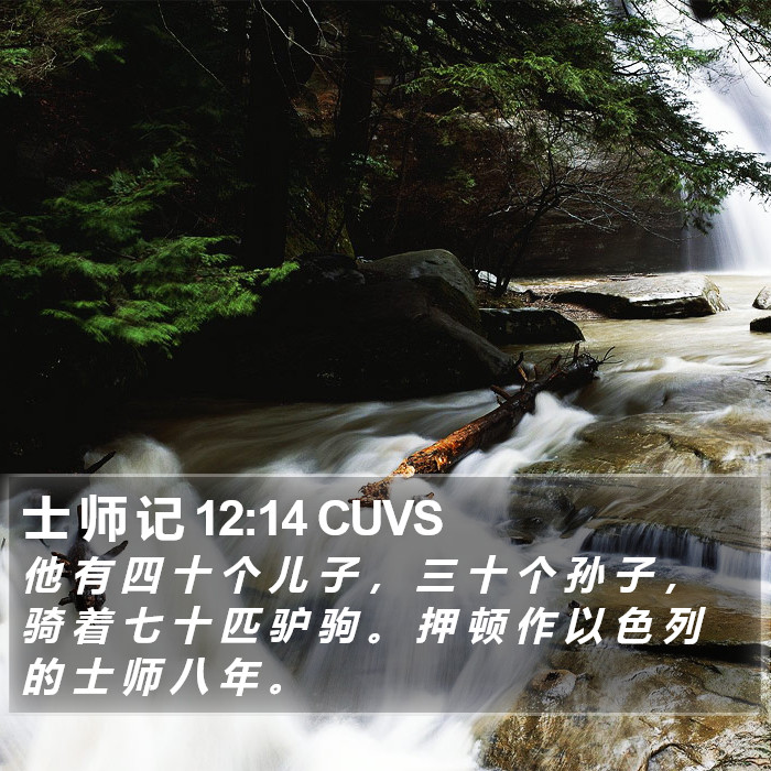 士 师 记 12:14 CUVS Bible Study