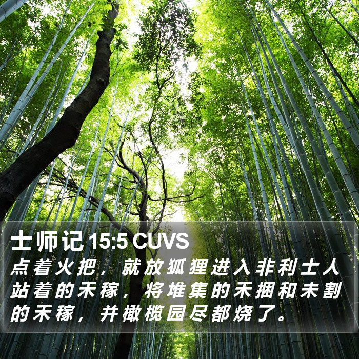 士 师 记 15:5 CUVS Bible Study
