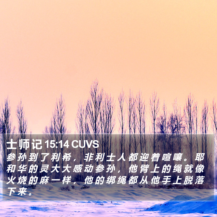 士 师 记 15:14 CUVS Bible Study