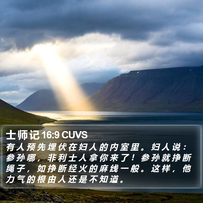 士 师 记 16:9 CUVS Bible Study