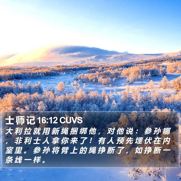 士 师 记 16:12 CUVS Bible Study
