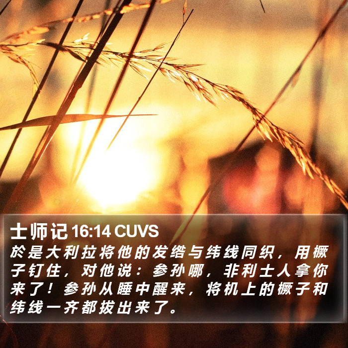 士 师 记 16:14 CUVS Bible Study