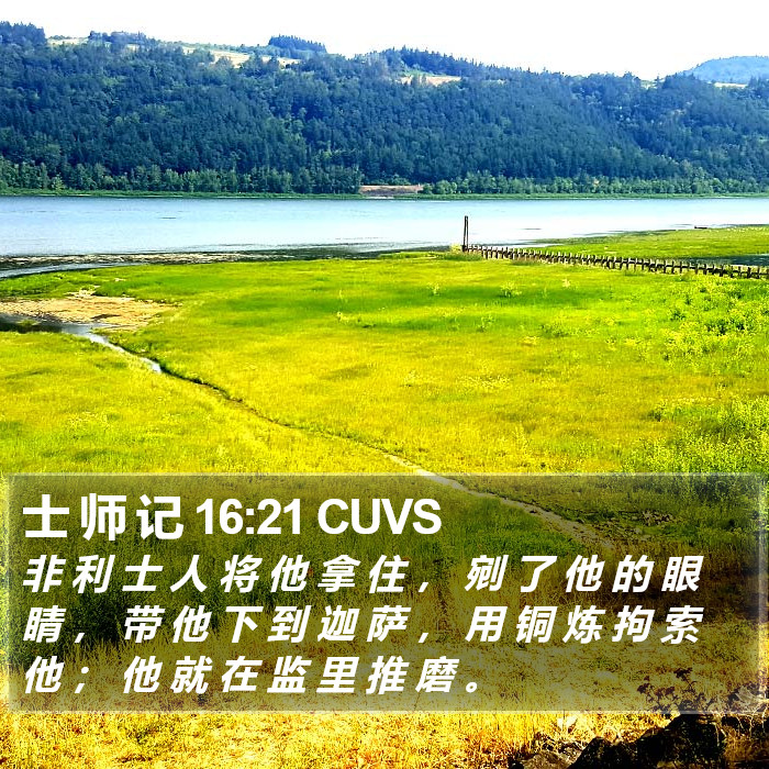 士 师 记 16:21 CUVS Bible Study
