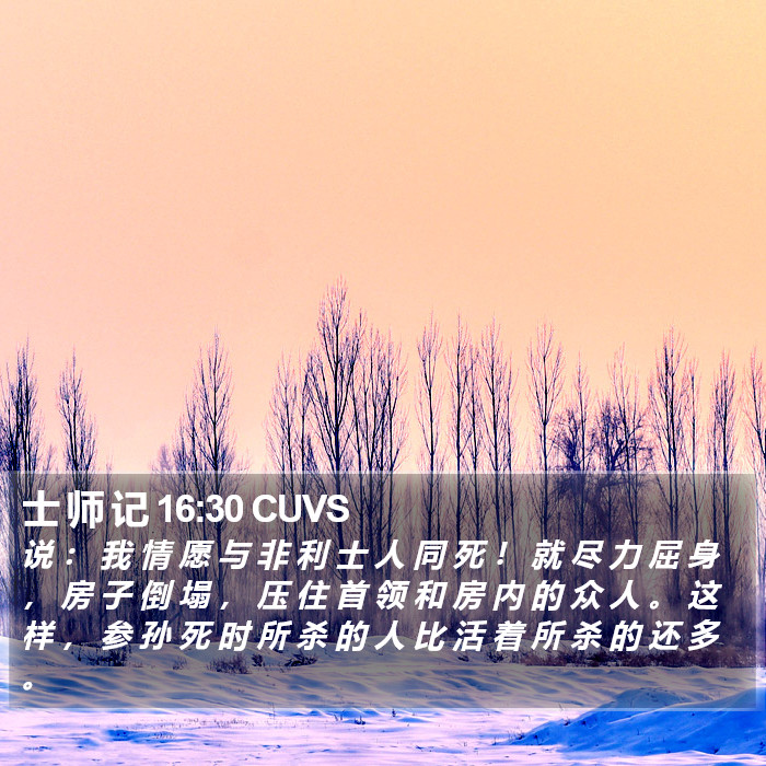 士 师 记 16:30 CUVS Bible Study