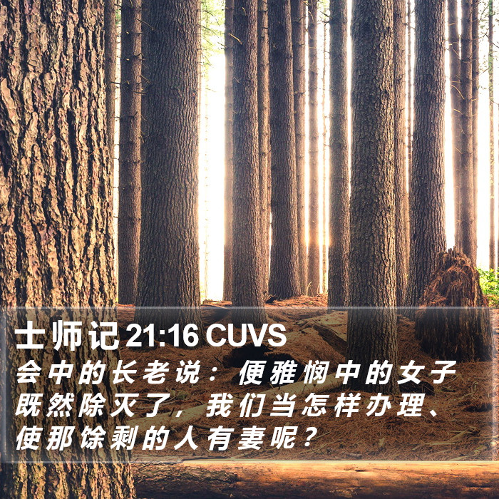 士 师 记 21:16 CUVS Bible Study