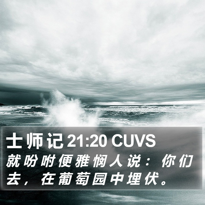 士 师 记 21:20 CUVS Bible Study