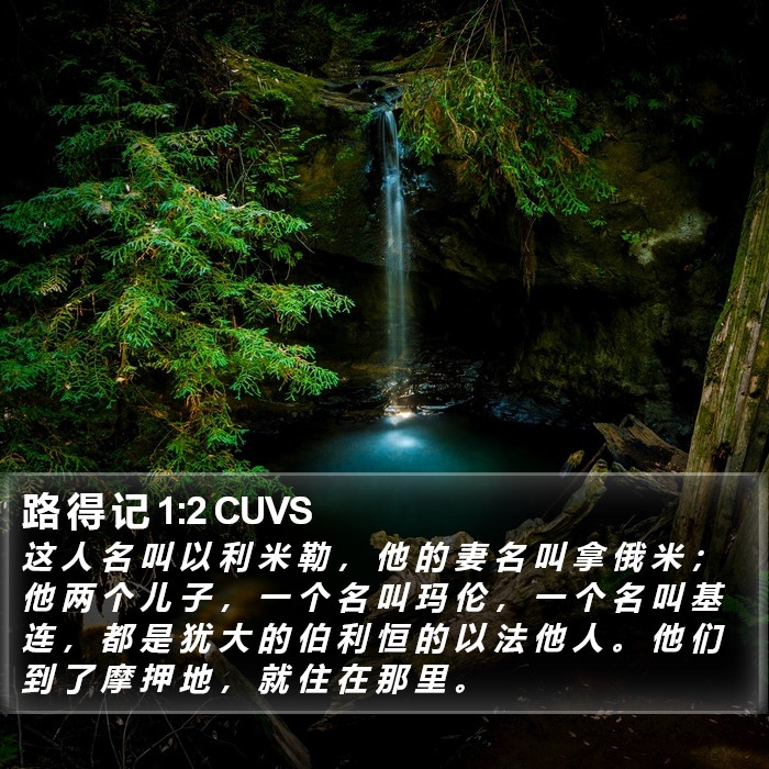 路 得 记 1:2 CUVS Bible Study