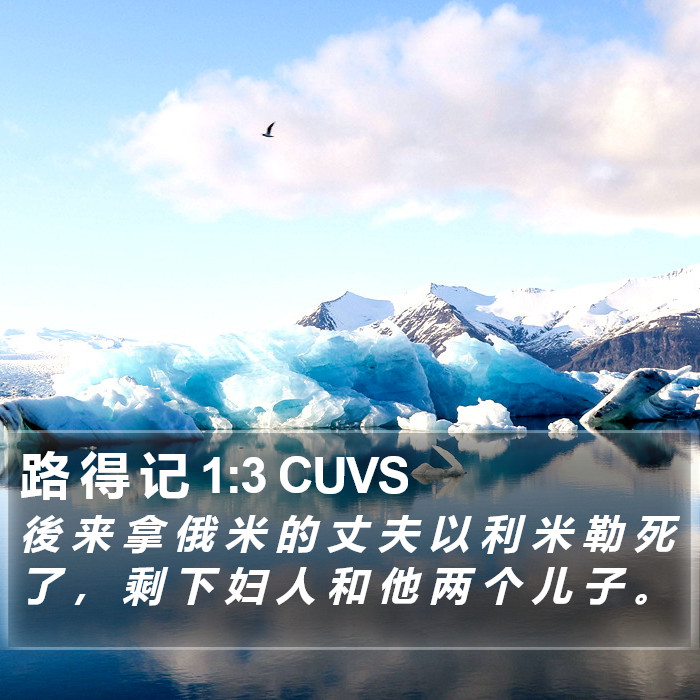 路 得 记 1:3 CUVS Bible Study