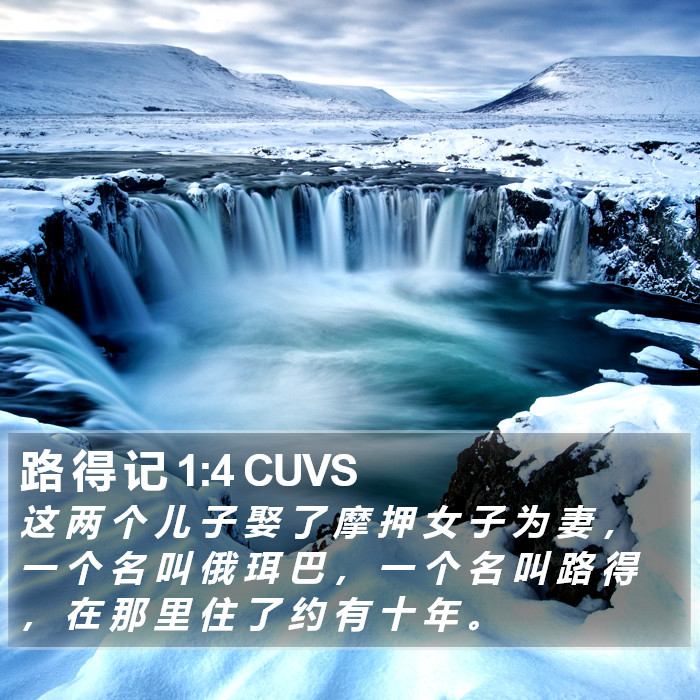 路 得 记 1:4 CUVS Bible Study