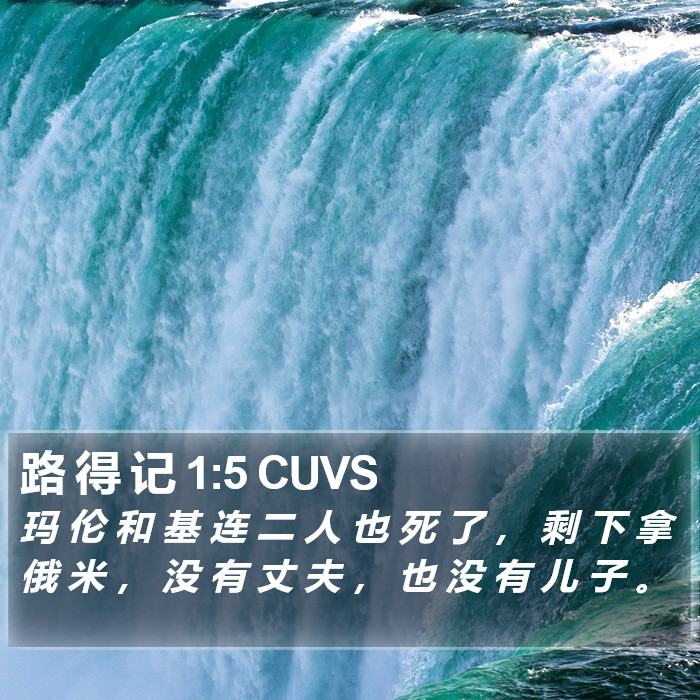 路 得 记 1:5 CUVS Bible Study