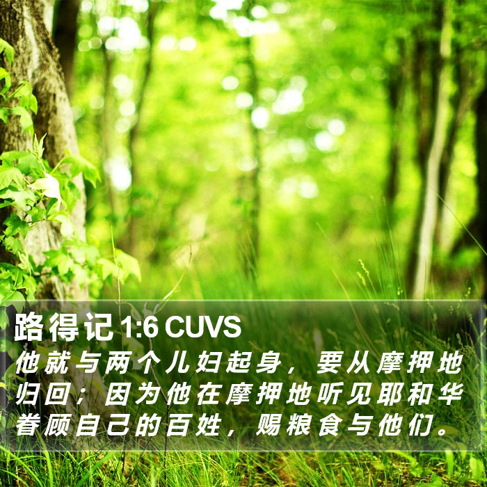 路 得 记 1:6 CUVS Bible Study