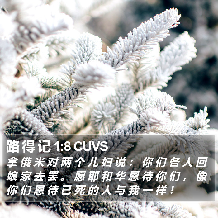 路 得 记 1:8 CUVS Bible Study