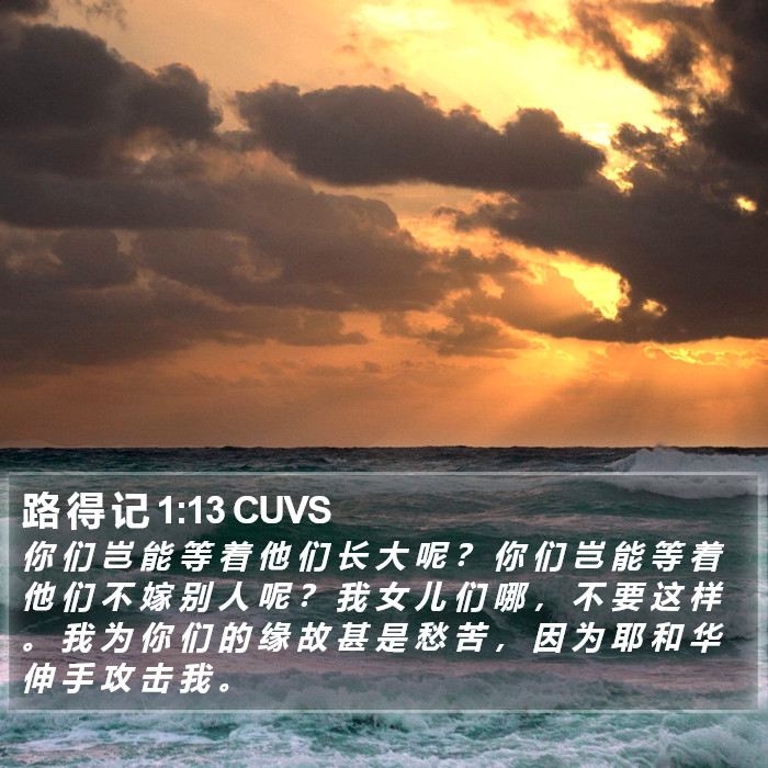 路 得 记 1:13 CUVS Bible Study