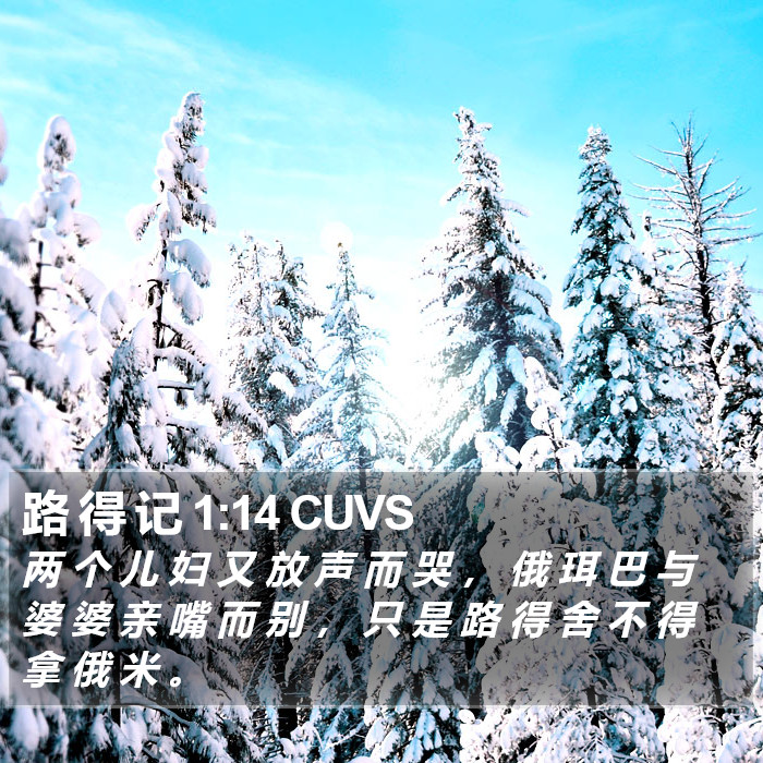 路 得 记 1:14 CUVS Bible Study