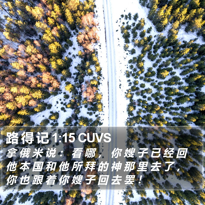 路 得 记 1:15 CUVS Bible Study