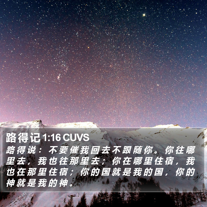 路 得 记 1:16 CUVS Bible Study