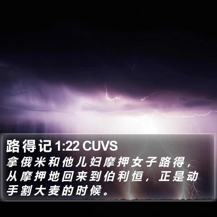 路 得 记 1:22 CUVS Bible Study