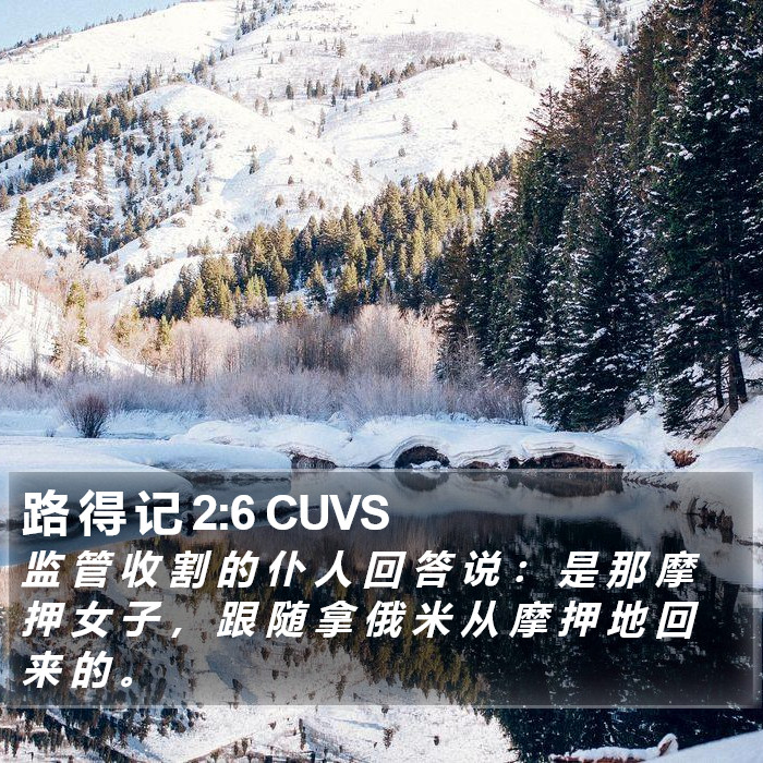 路 得 记 2:6 CUVS Bible Study