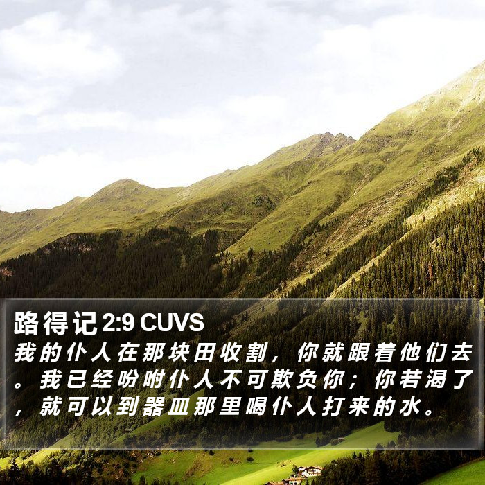 路 得 记 2:9 CUVS Bible Study
