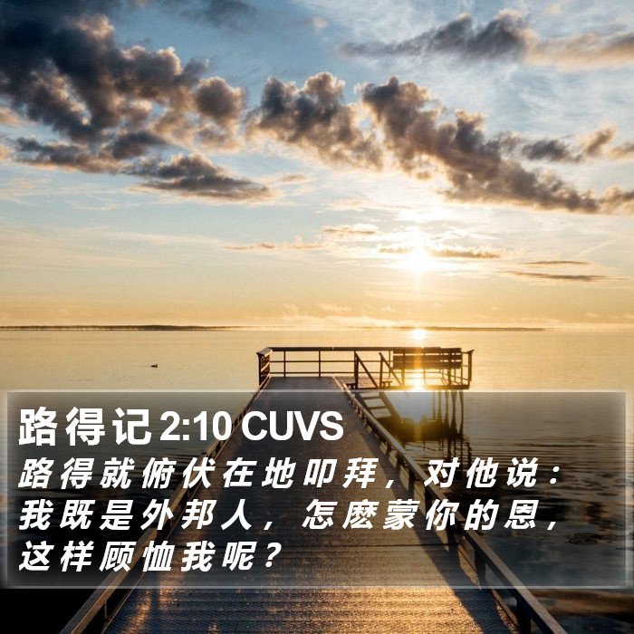 路 得 记 2:10 CUVS Bible Study