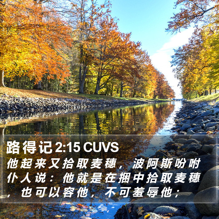 路 得 记 2:15 CUVS Bible Study