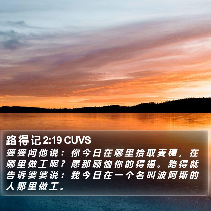 路 得 记 2:19 CUVS Bible Study