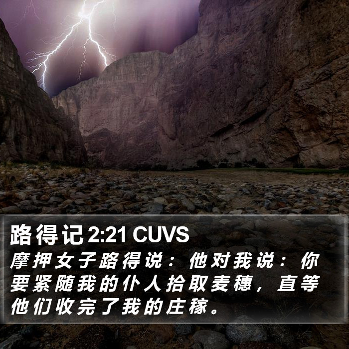 路 得 记 2:21 CUVS Bible Study