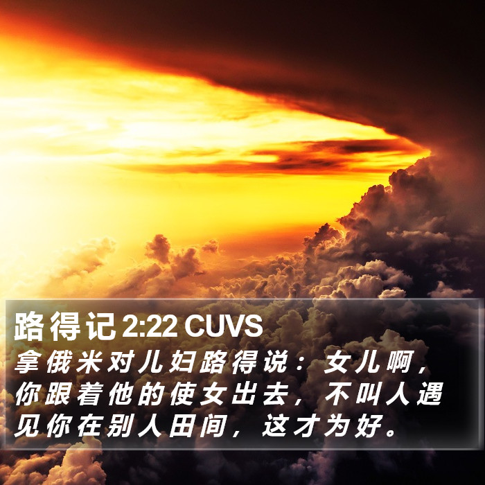 路 得 记 2:22 CUVS Bible Study