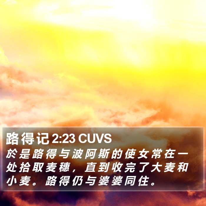路 得 记 2:23 CUVS Bible Study