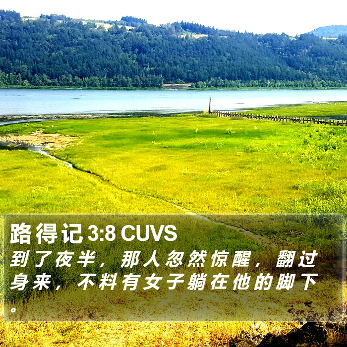 路 得 记 3:8 CUVS Bible Study