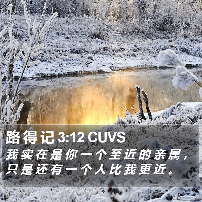 路 得 记 3:12 CUVS Bible Study