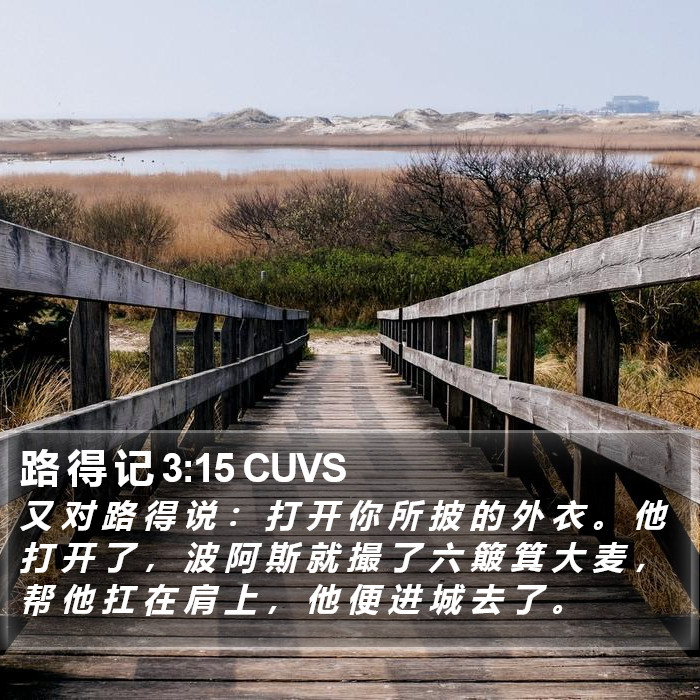 路 得 记 3:15 CUVS Bible Study