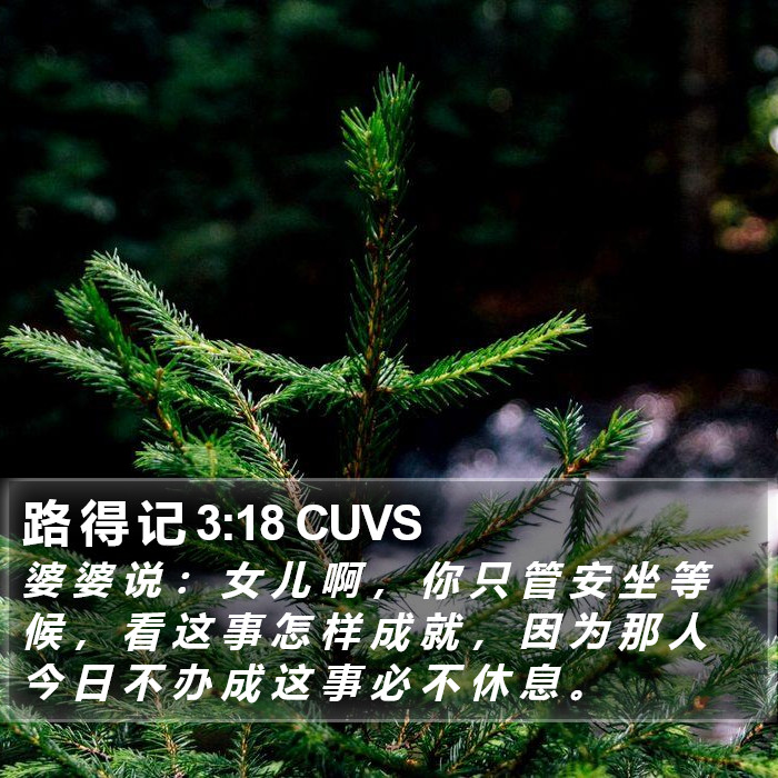 路 得 记 3:18 CUVS Bible Study