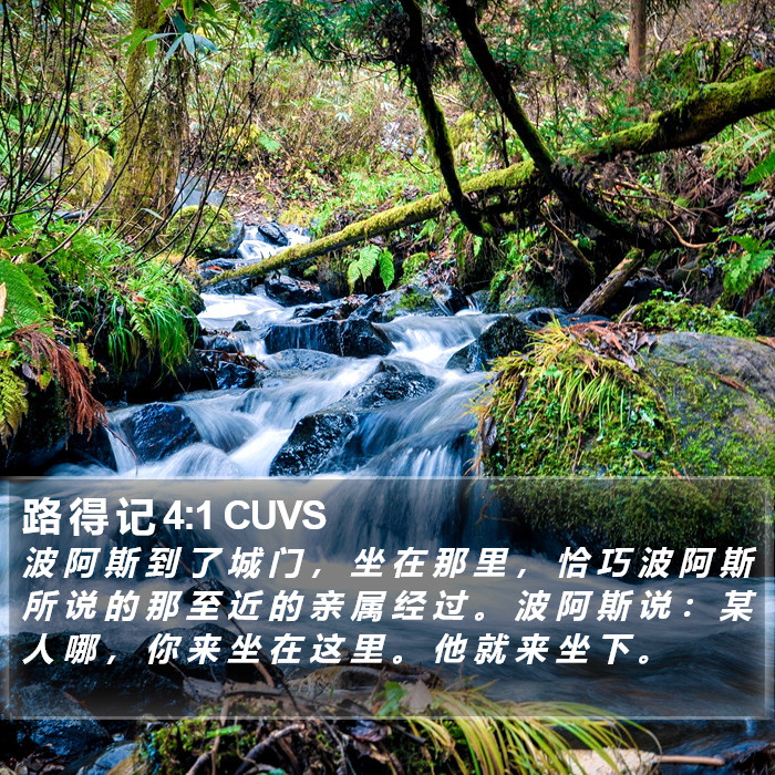 路 得 记 4:1 CUVS Bible Study