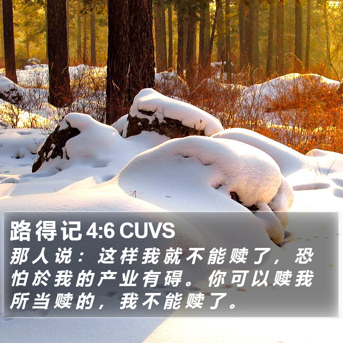 路 得 记 4:6 CUVS Bible Study