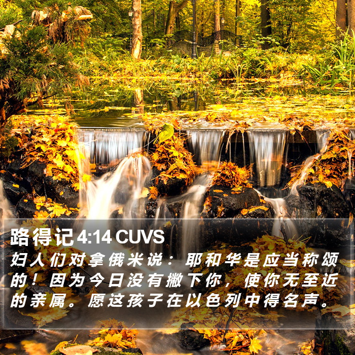 路 得 记 4:14 CUVS Bible Study