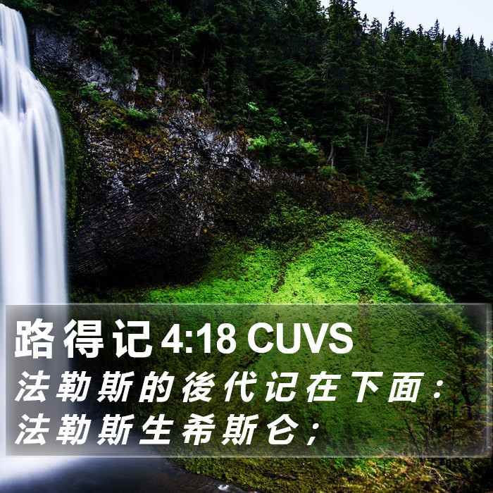 路 得 记 4:18 CUVS Bible Study