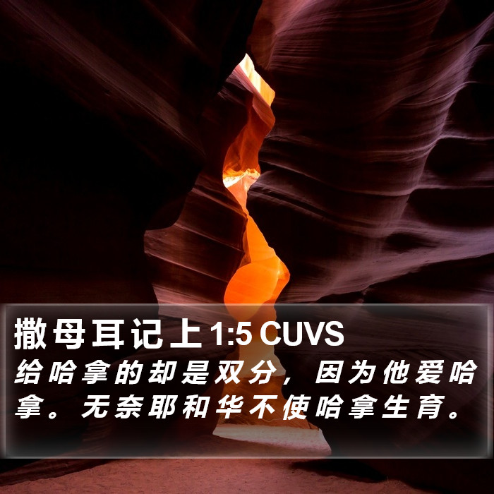 撒 母 耳 记 上 1:5 CUVS Bible Study