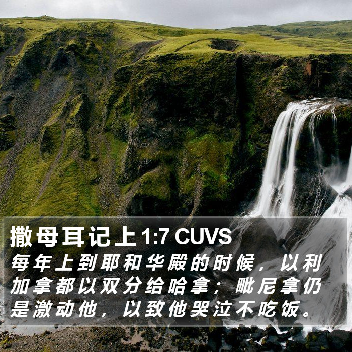 撒 母 耳 记 上 1:7 CUVS Bible Study