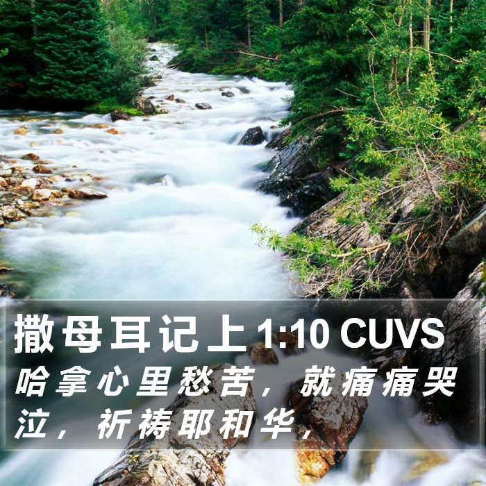 撒 母 耳 记 上 1:10 CUVS Bible Study