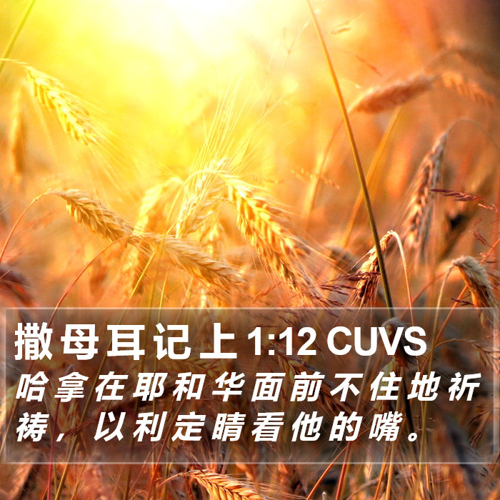 撒 母 耳 记 上 1:12 CUVS Bible Study