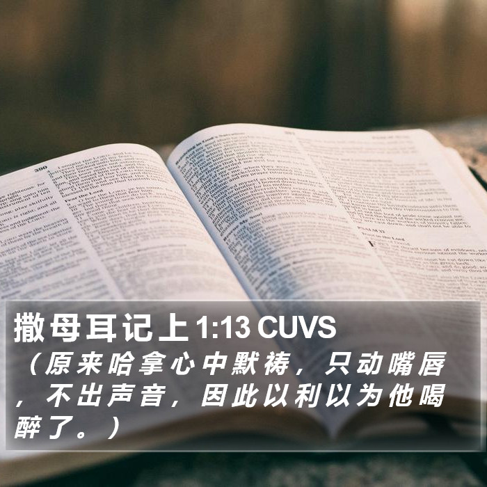 撒 母 耳 记 上 1:13 CUVS Bible Study