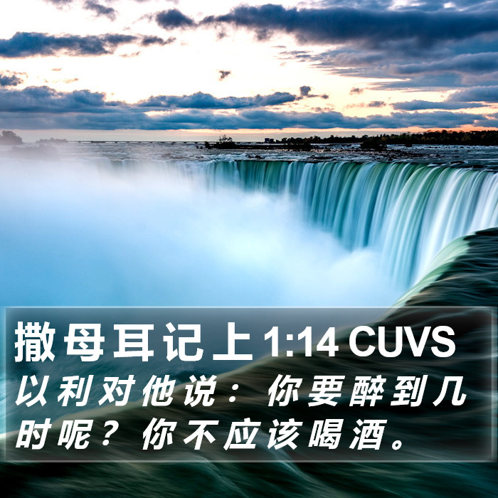 撒 母 耳 记 上 1:14 CUVS Bible Study